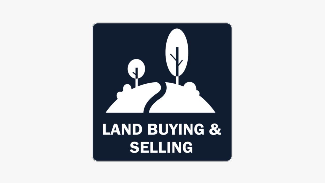 whatsapp image 2025 08 11 at 15.46.03